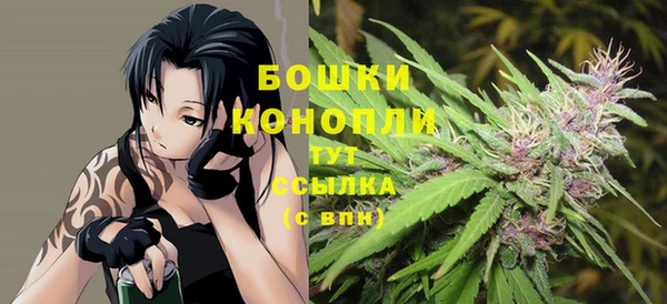 тгк Вяземский