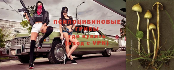 тгк Вяземский